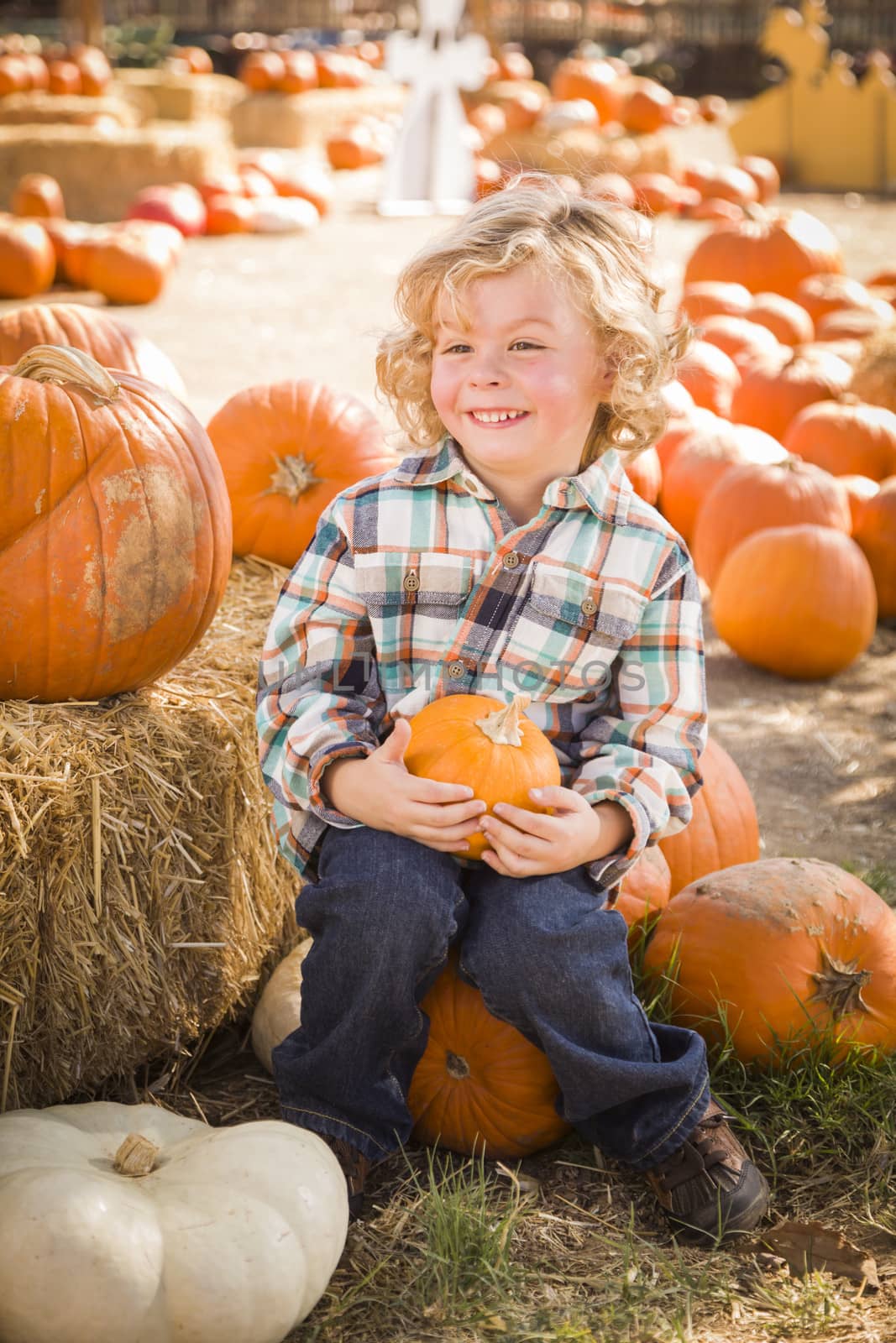 Little Boy Sitting and Holding His Pumpkin at Pumpkin Patch
 by Feverpitched