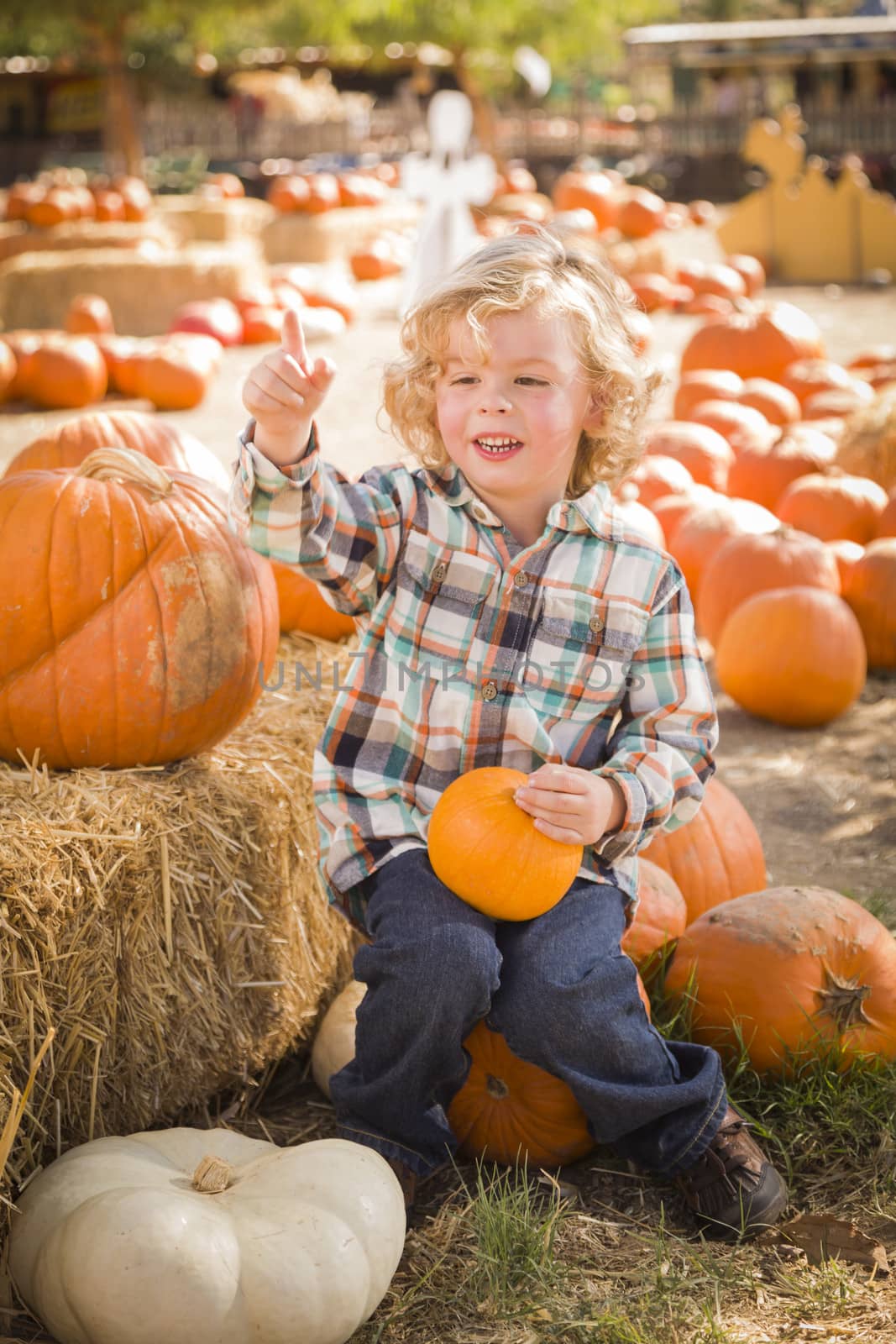 Adorable Little Boy Sitting and Holding His Pumpkin in a Rustic Ranch Setting at the Pumpkin Patch.
