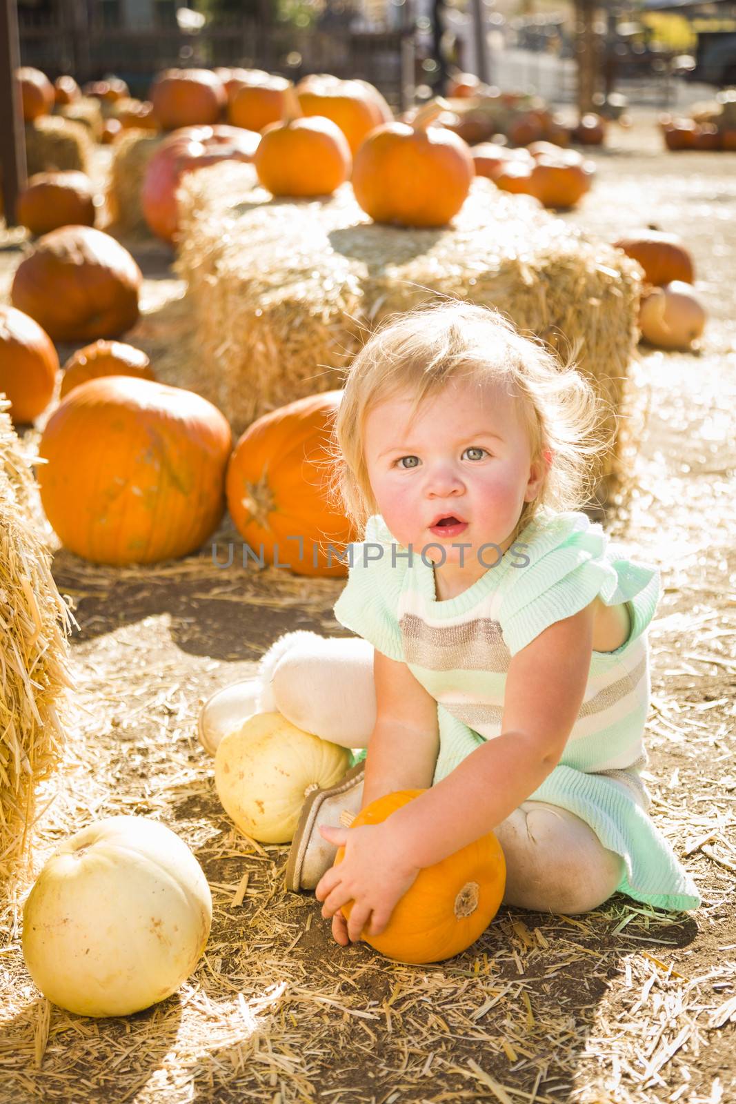 Adorable Baby Girl Holding a Pumpkin at the Pumpkin Patch
 by Feverpitched