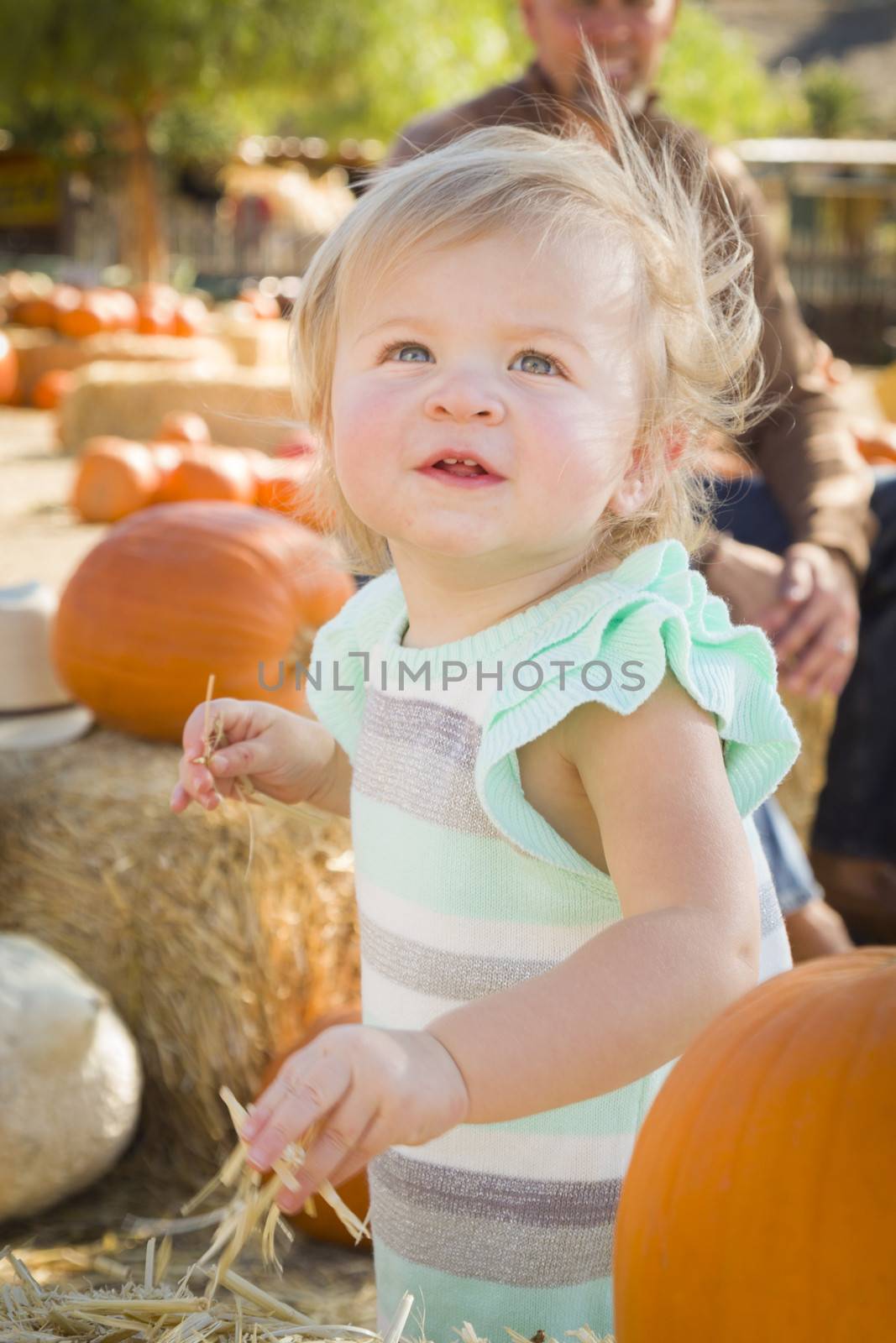 Adorable Baby Girl Having Fun at the Pumpkin Patch
 by Feverpitched