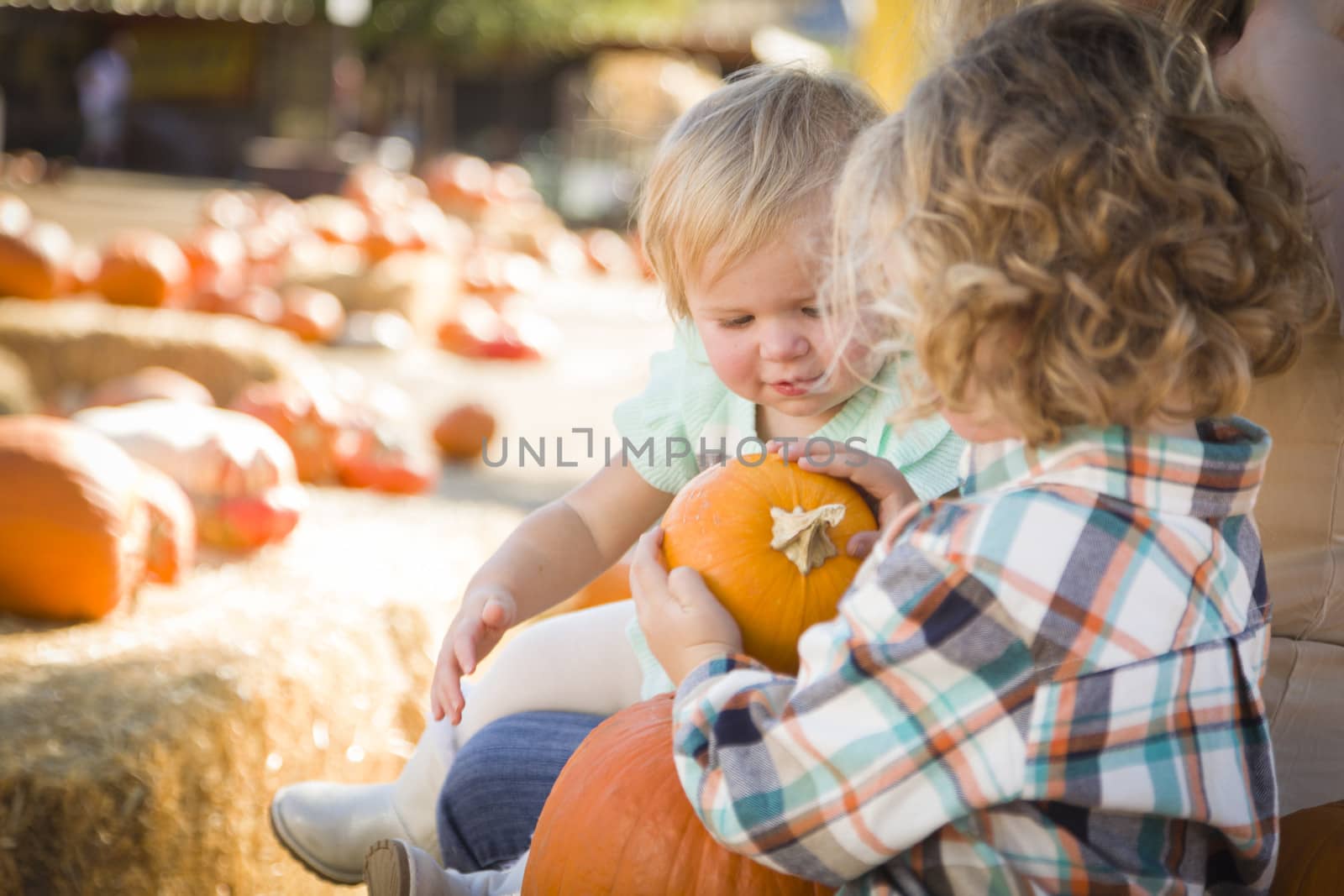 Young Family Enjoys a Day at the Pumpkin Patch by Feverpitched