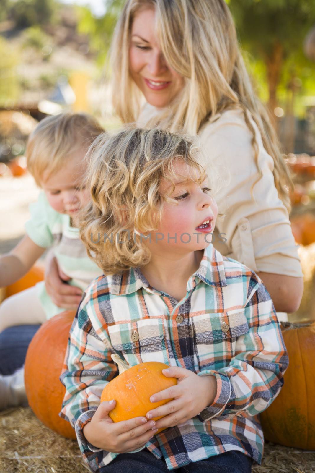 Young Family Enjoys a Day at the Pumpkin Patch by Feverpitched