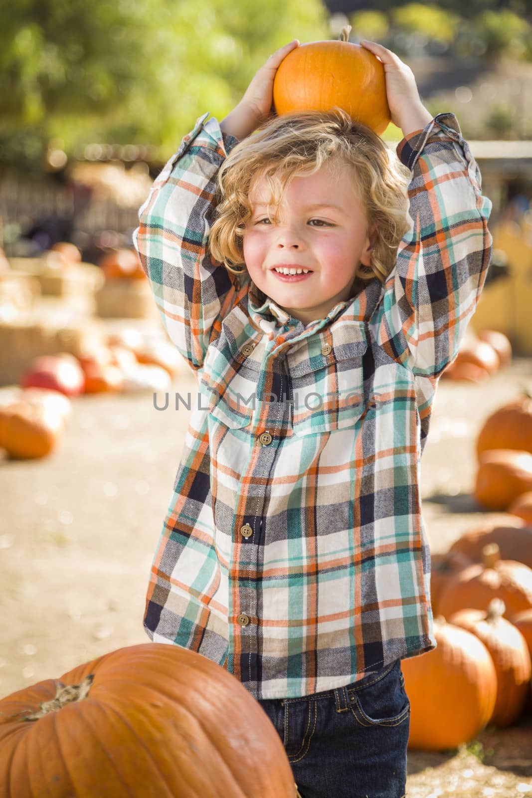 Little Boy Holding His Pumpkin at a Pumpkin Patch
 by Feverpitched