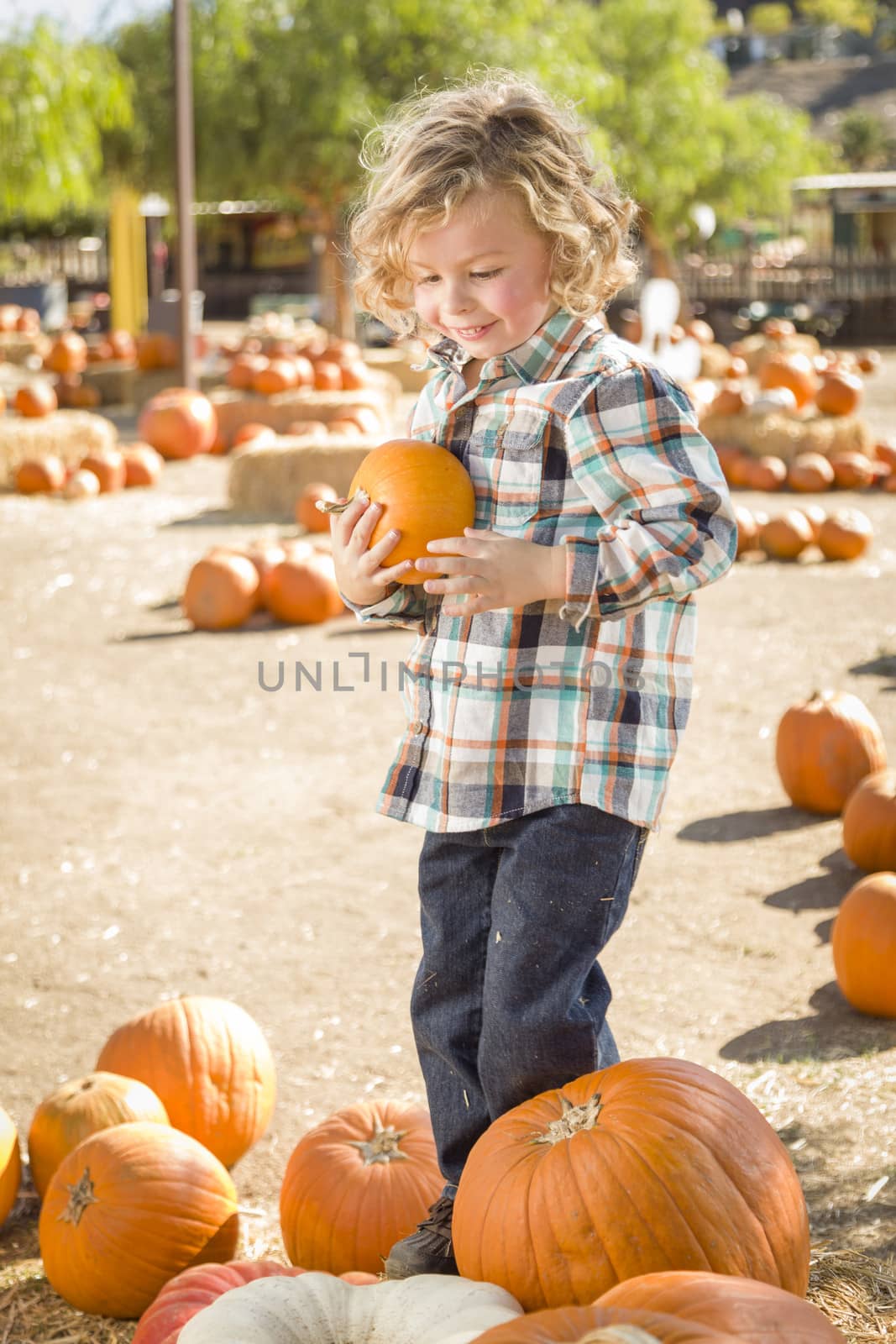 Little Boy Holding His Pumpkin at a Pumpkin Patch
 by Feverpitched