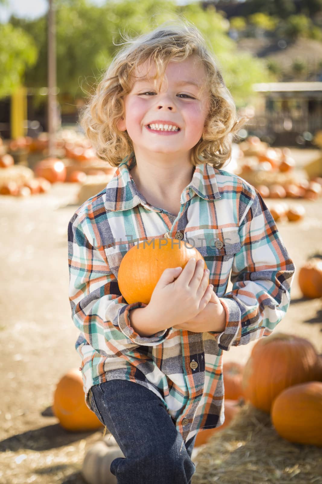 Little Boy Holding His Pumpkin at a Pumpkin Patch
 by Feverpitched