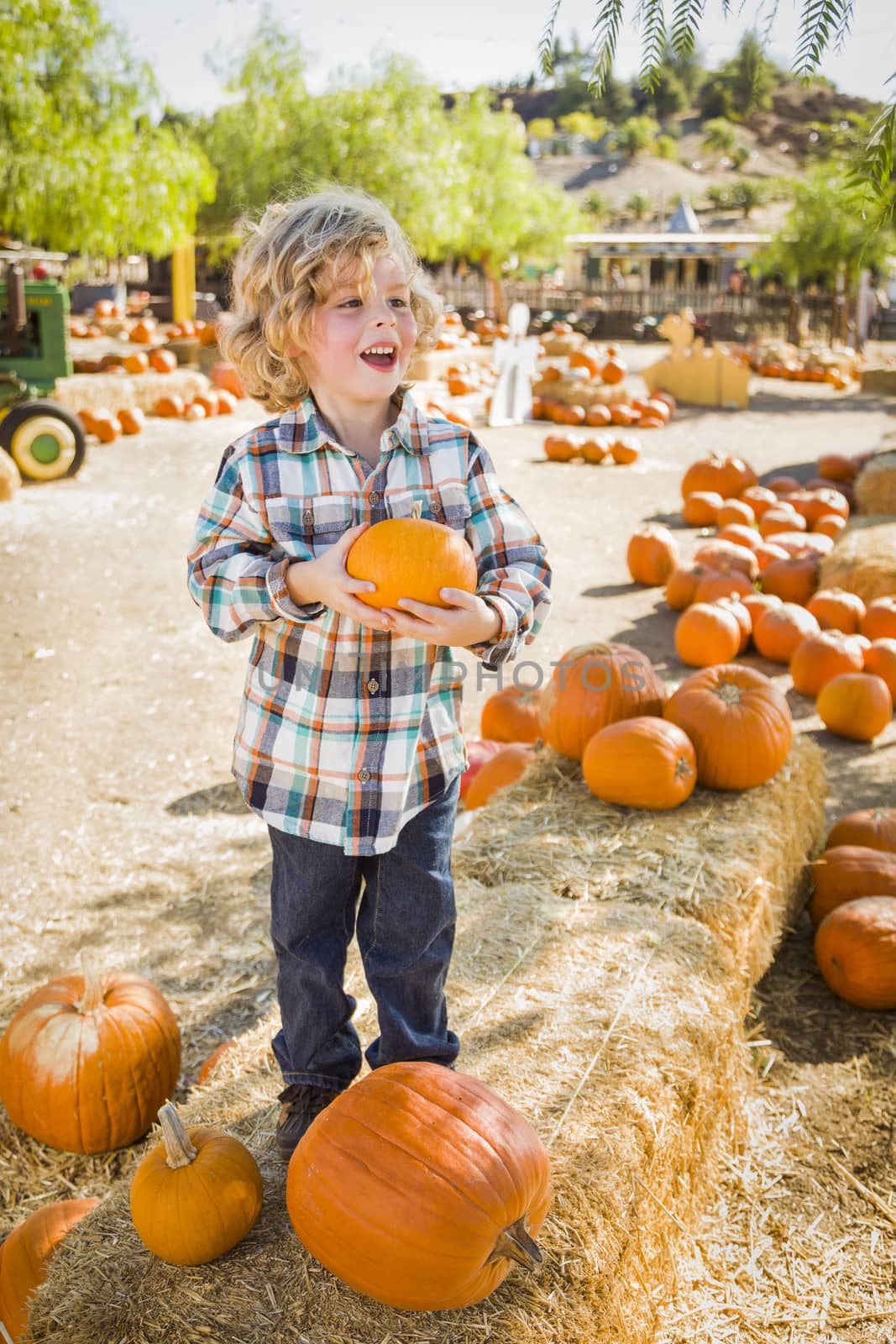 Little Boy Holding His Pumpkin at a Pumpkin Patch
 by Feverpitched