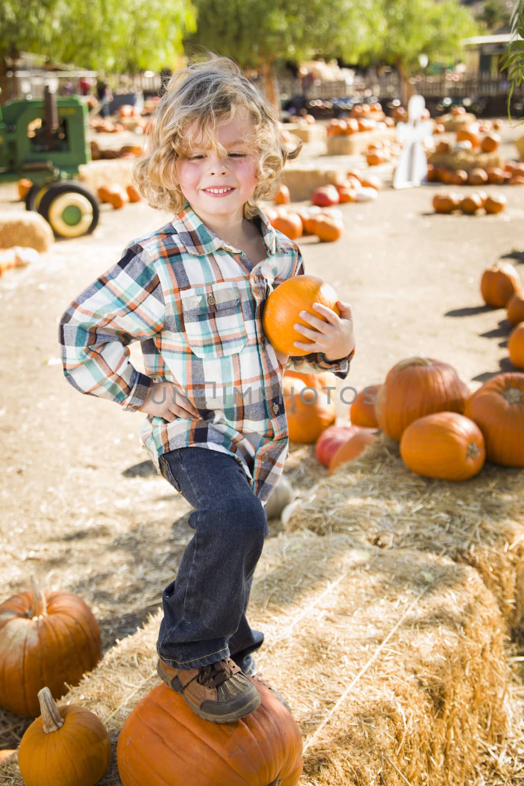 Little Boy Holding His Pumpkin at a Pumpkin Patch
 by Feverpitched