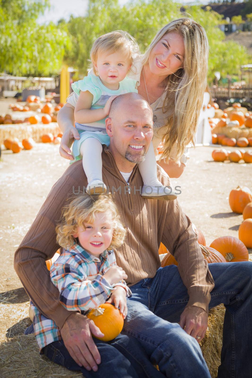 Attractive Family Portrait at the Pumpkin Patch
 by Feverpitched