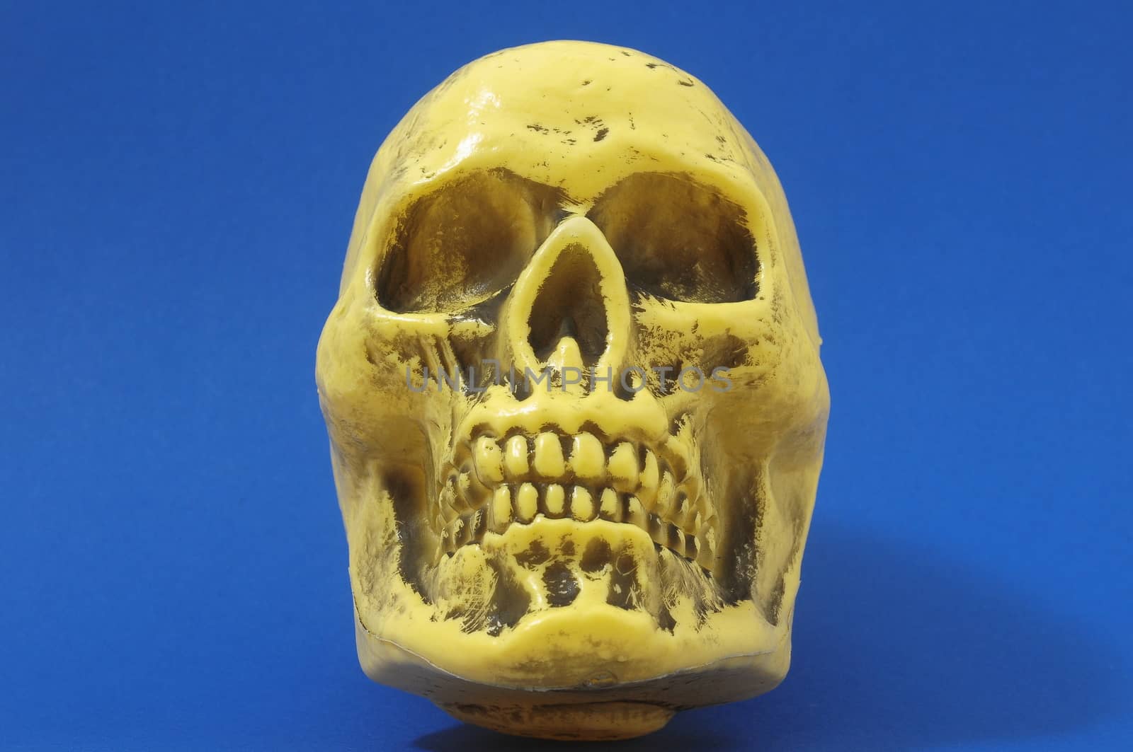 An Ancient Yellow Skull  on a Colored Background