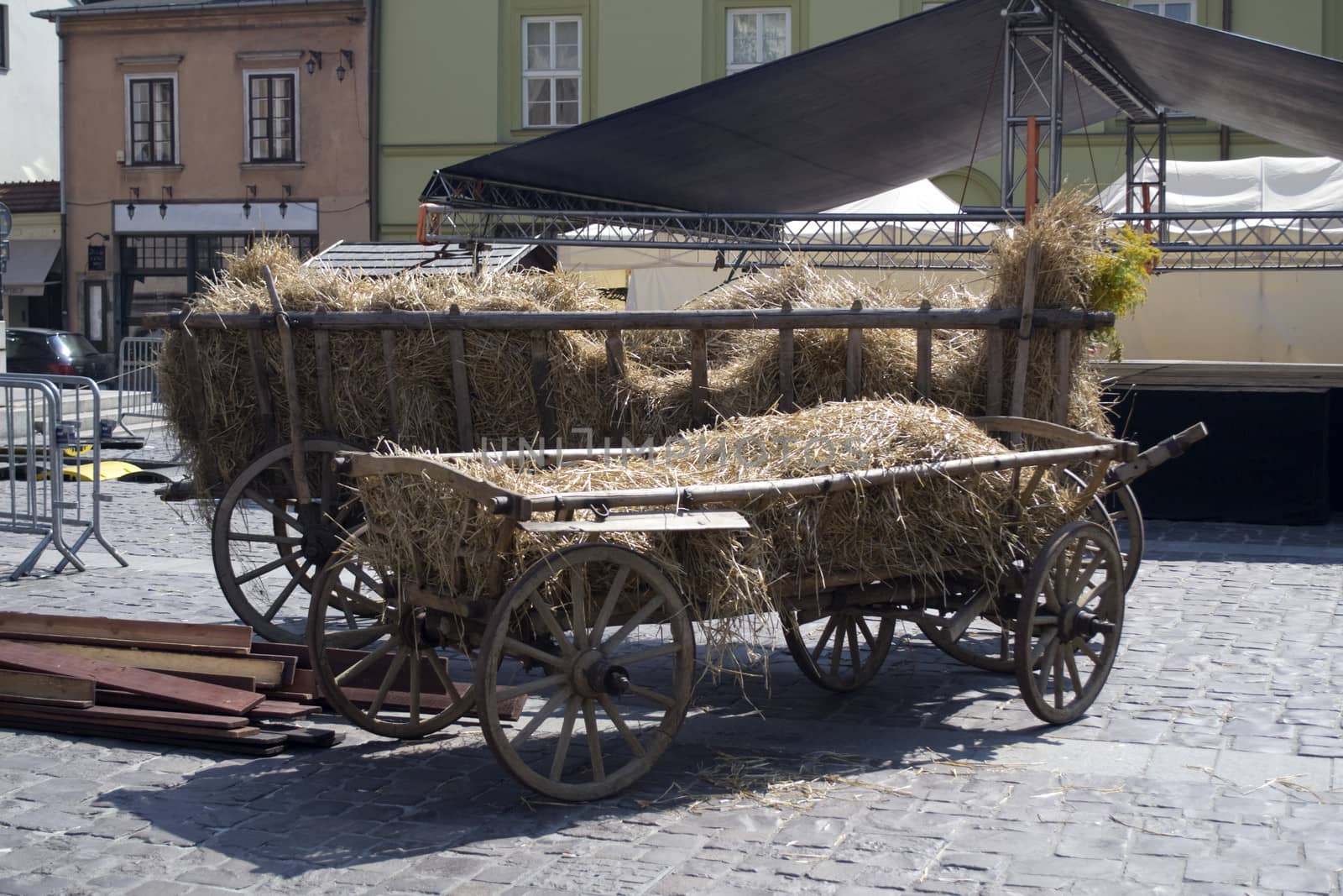Cart of hay by asajdler