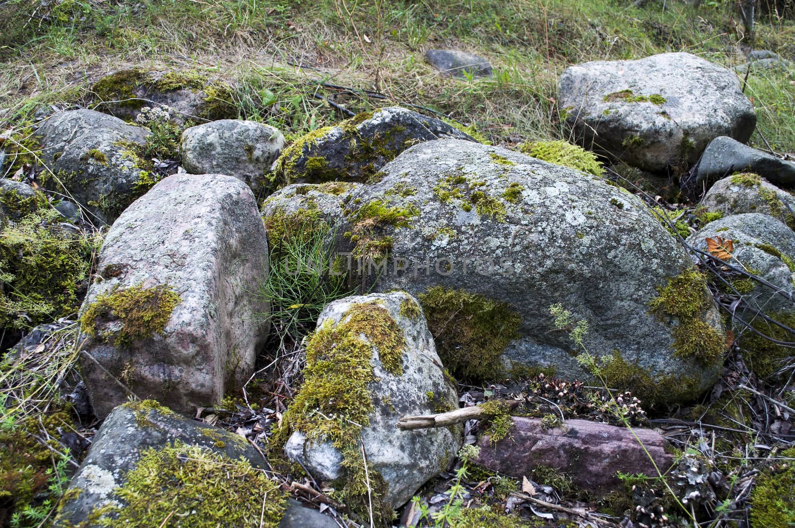 Boulders on the lake shore, covered with moss