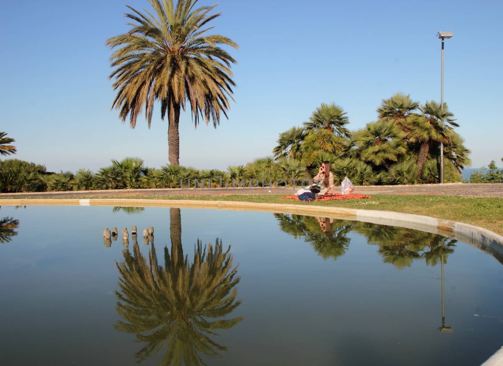 Palm tree reflected in the pond. The girl at the picnic on the phone.