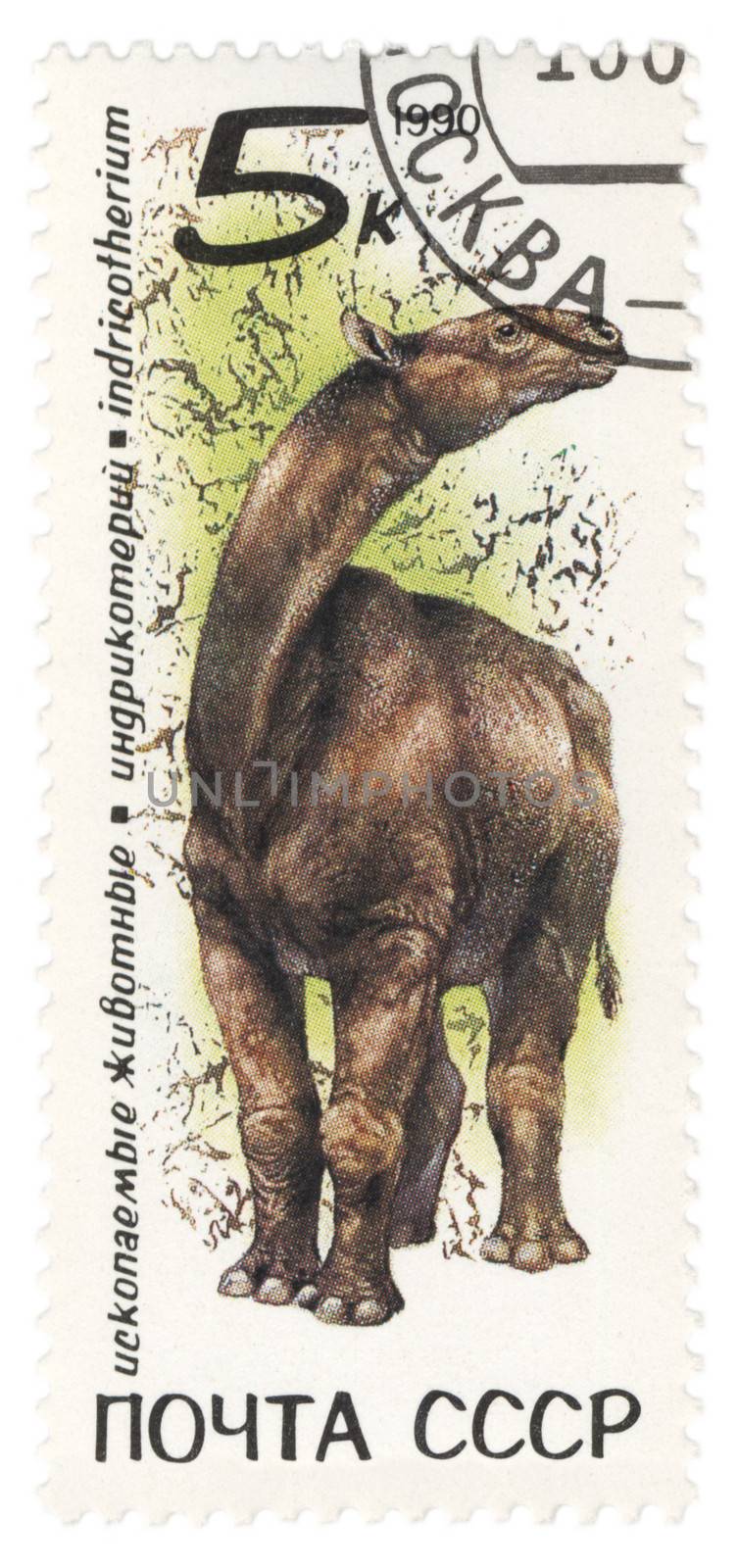 USSR - CIRCA 1990: stamp printed in USSR shows dinosaur Indricotherium, series zoolith, circa 1990