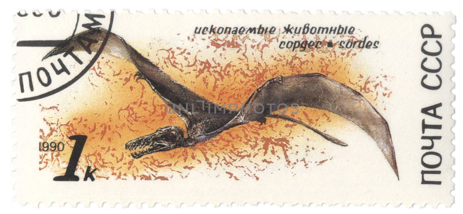 USSR - CIRCA 1990: stamp printed in USSR shows dinosaur Sordes, series zoolith, circa 1990