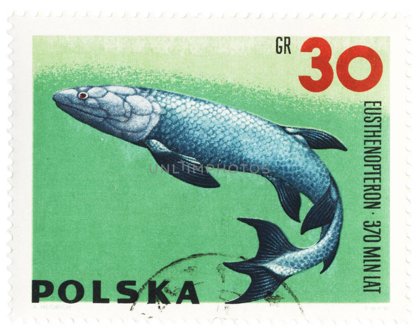 POLAND - CIRCA 1966: stamp printed in Poland shows a prehistoric fish Eusthenopteron, series "Zoolith", circa 1966