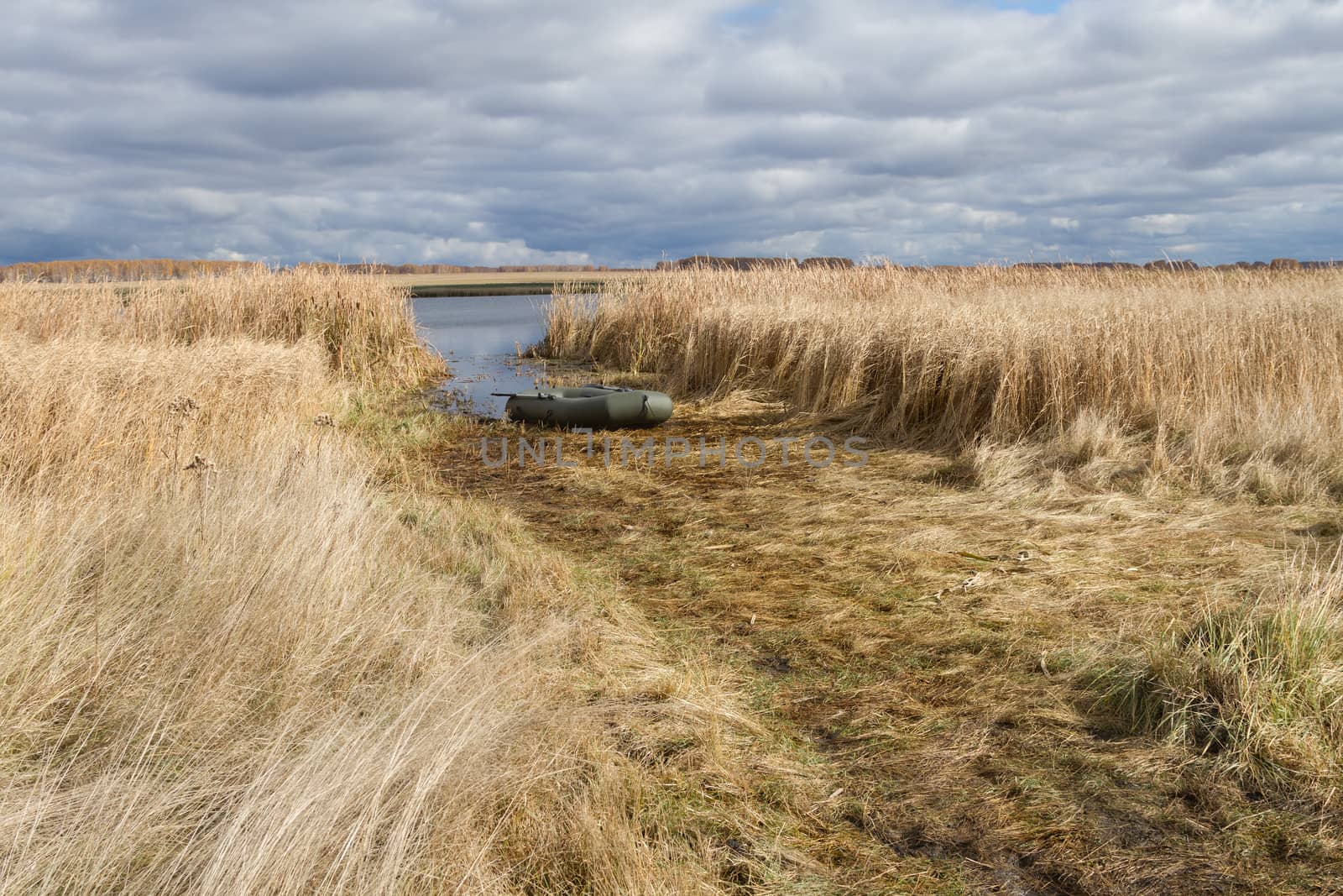 inflatable boat on the shore of the lake overgrown with reeds