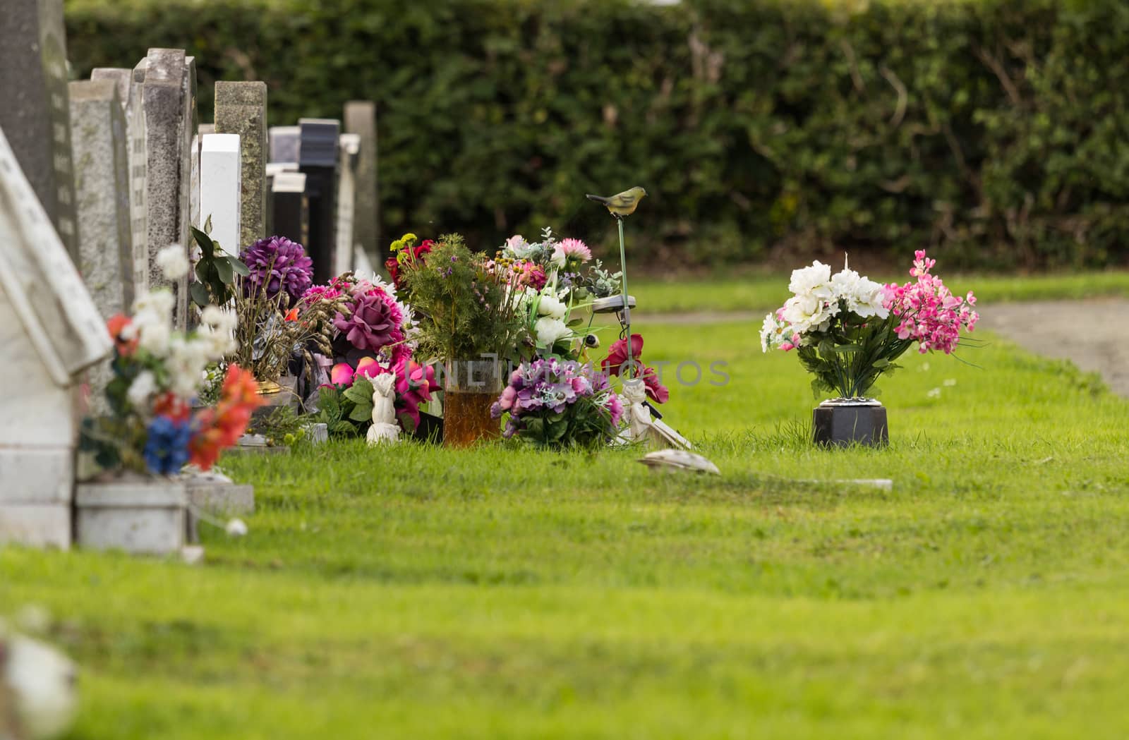 Freshly dug grave in cemetery or graveyard with pile of dirt or soil from ground piled high