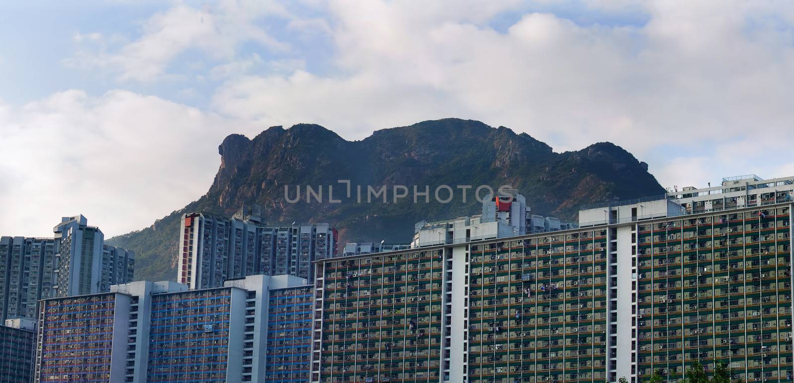 Hong Kong Housing landscape under Lion Rock 