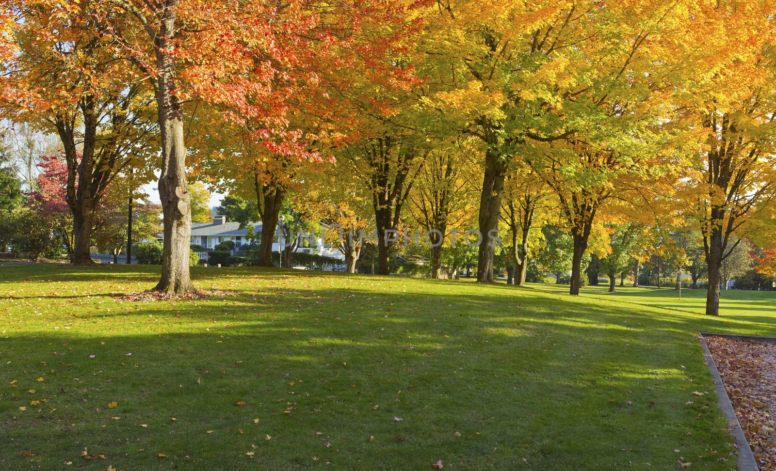 Public park panorama in Autumn colors Gresham OR.