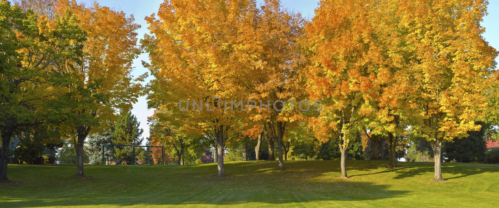 Public park panorama in Autumn colors Gresham OR.