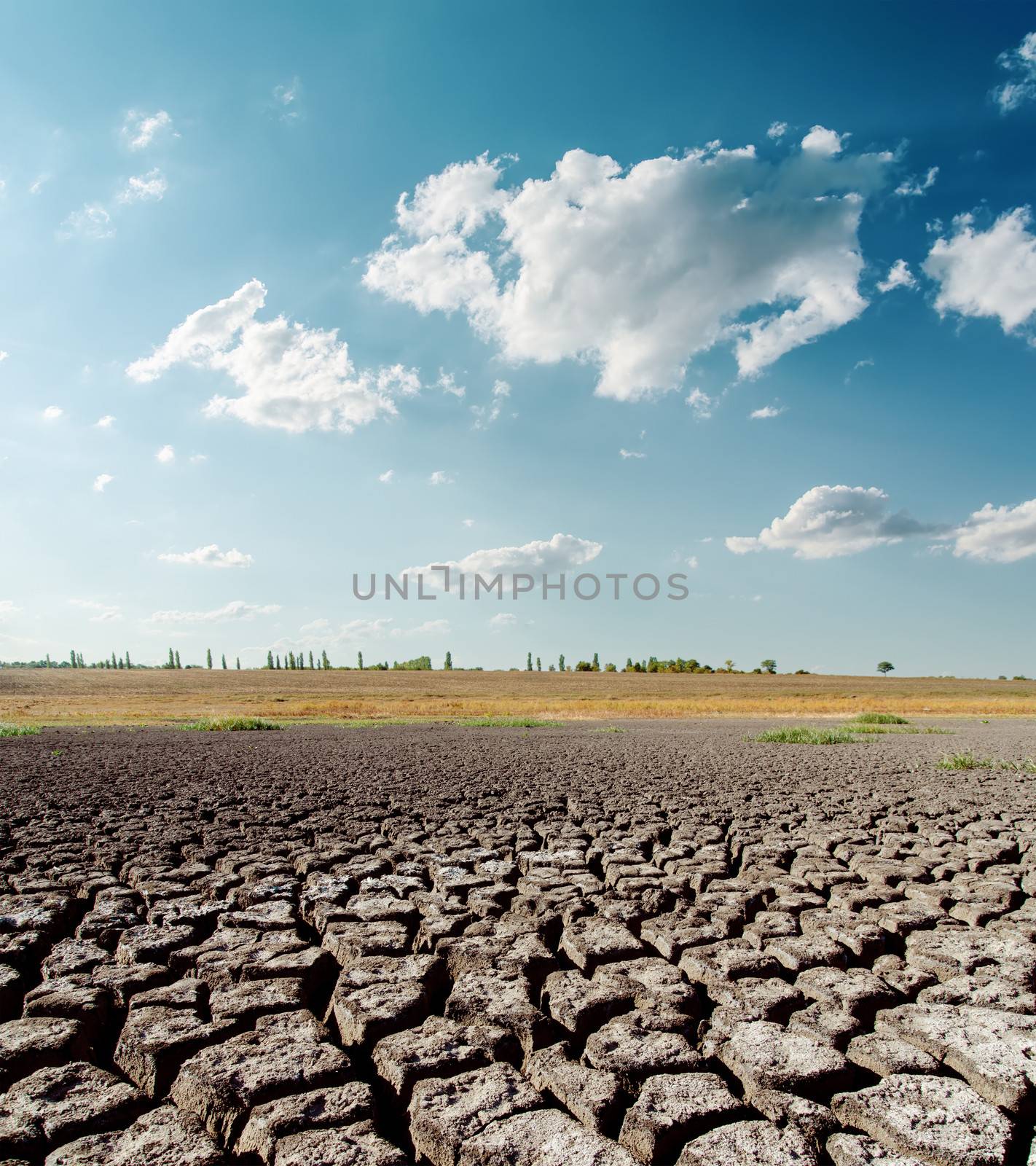 dry desert under blue sky with clouds