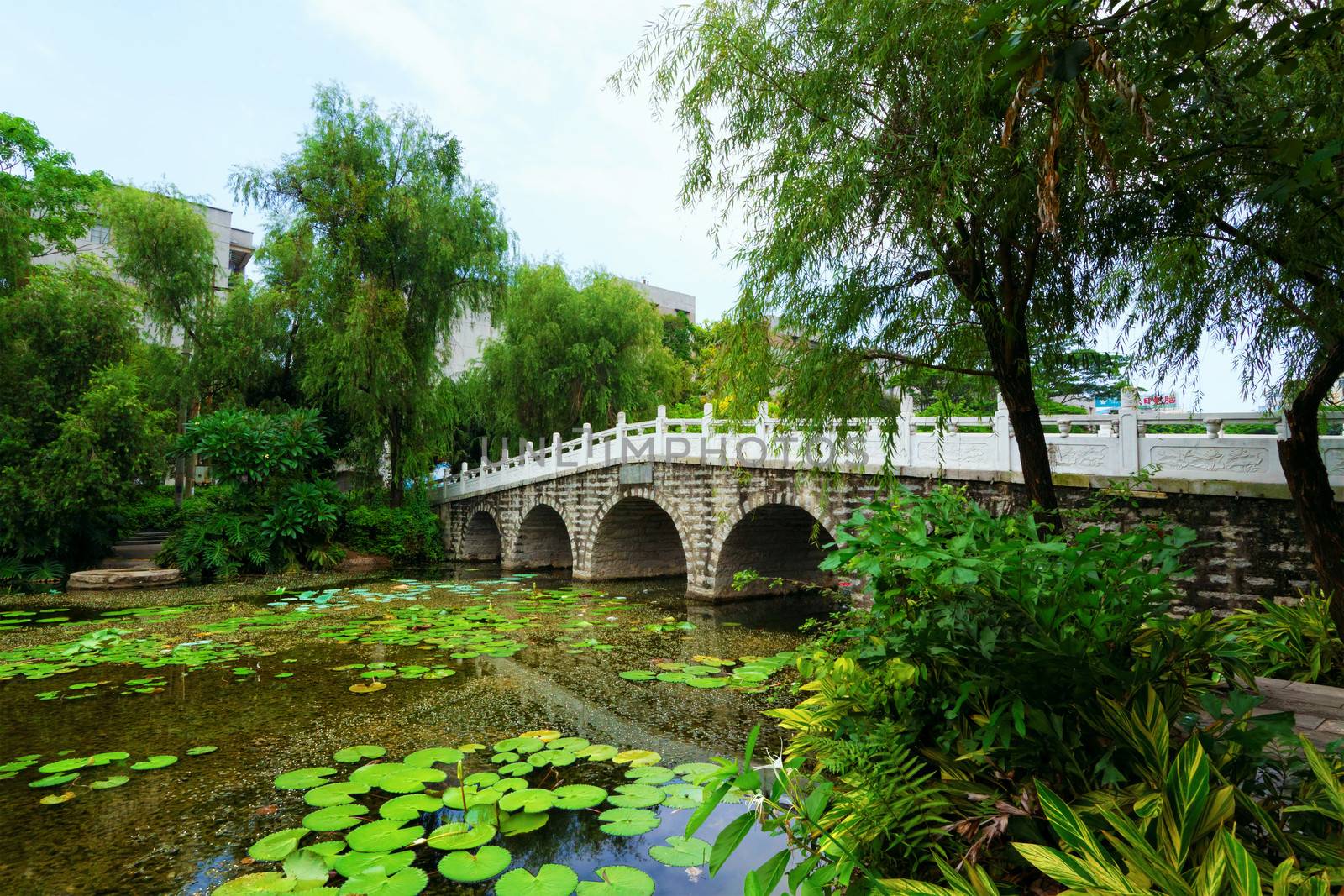 stone bridge in an Asian garden 