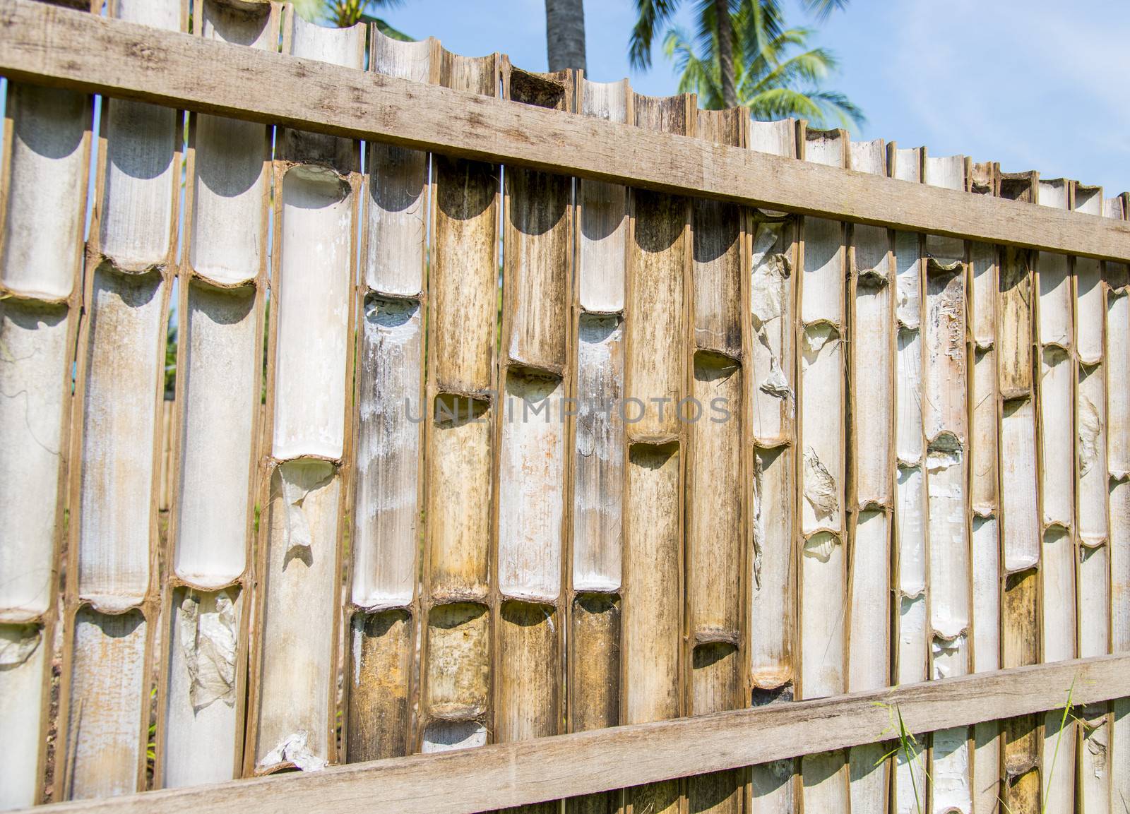 Bamboo fence2 by gjeerawut