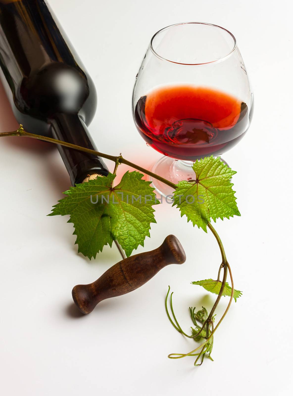 bottle of wine by oleg_zhukov