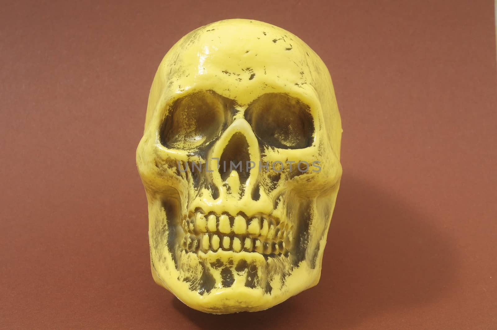 Yellow Skull by underworld