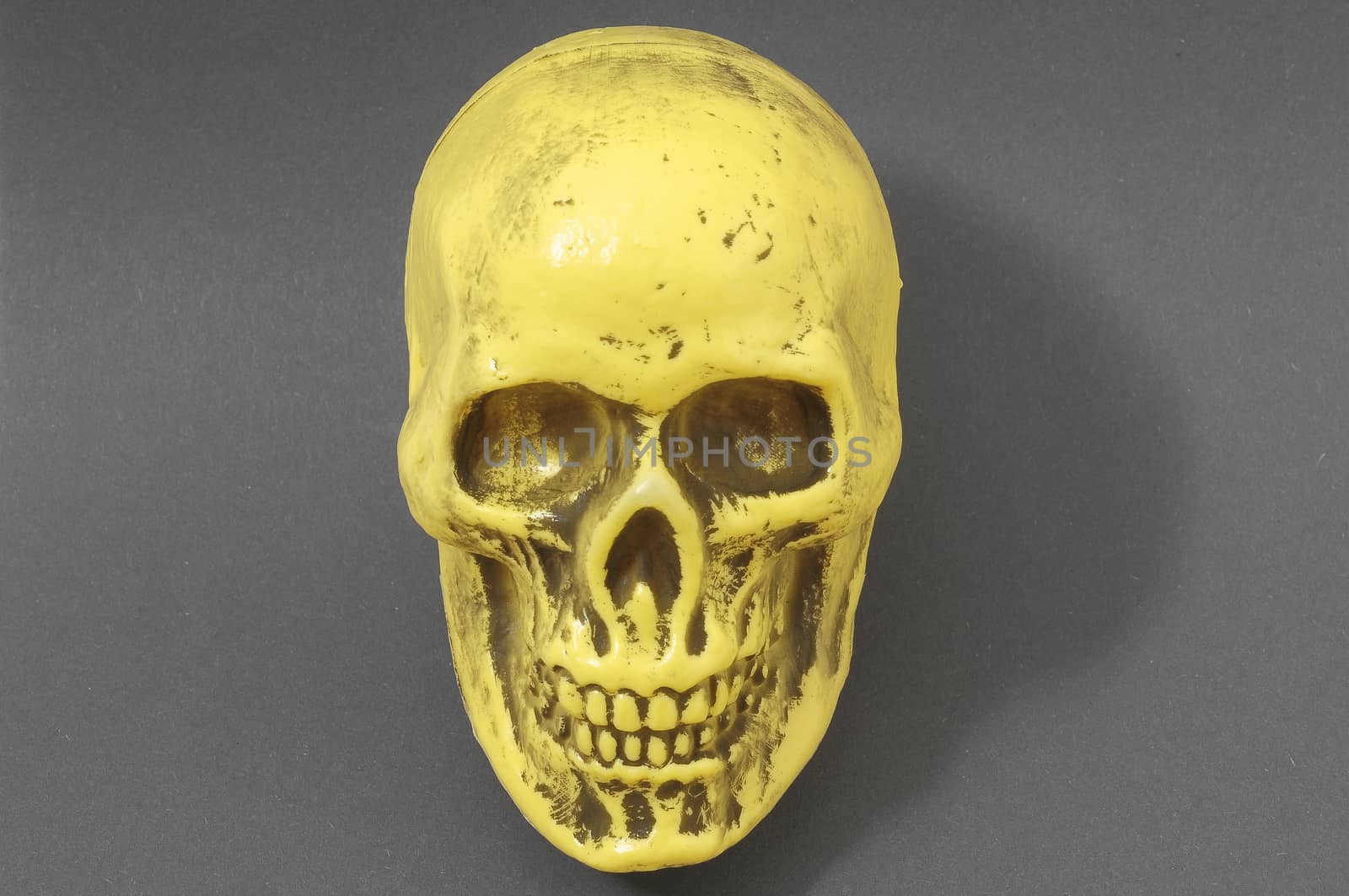 An Ancient Yellow Skull  on a Colored Background