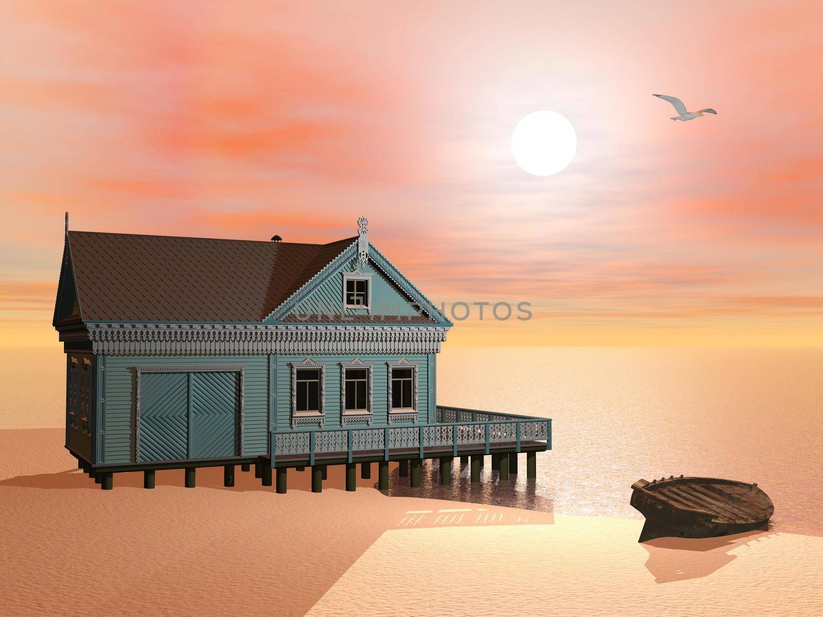Green house at the beach near a wood boat by sunset with flying bird