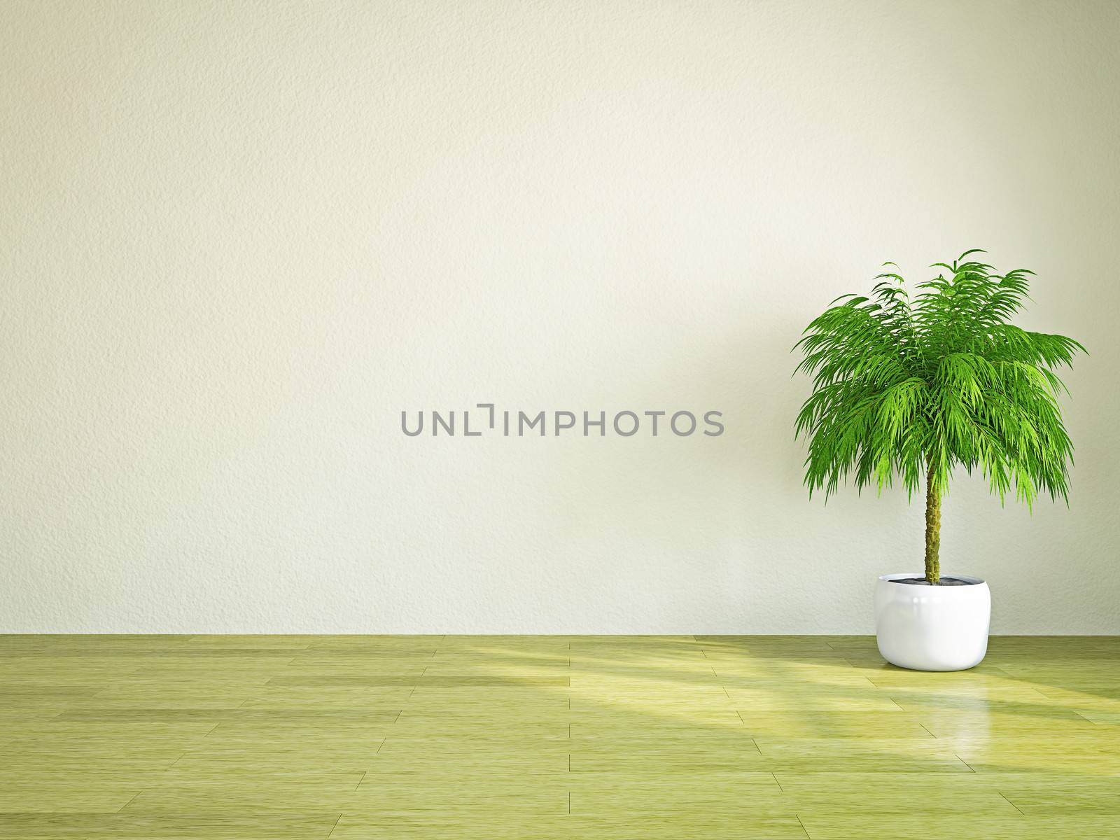 A  green plant near the plastered wall
