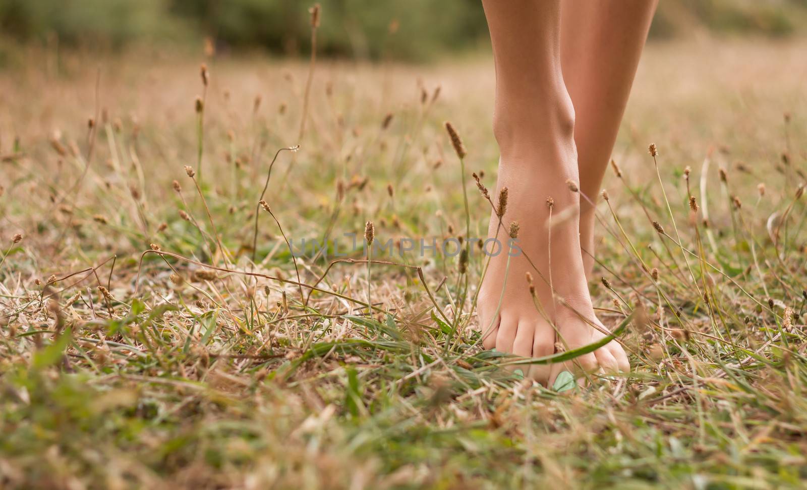 Beautiful young female legs walking on the grass in summer