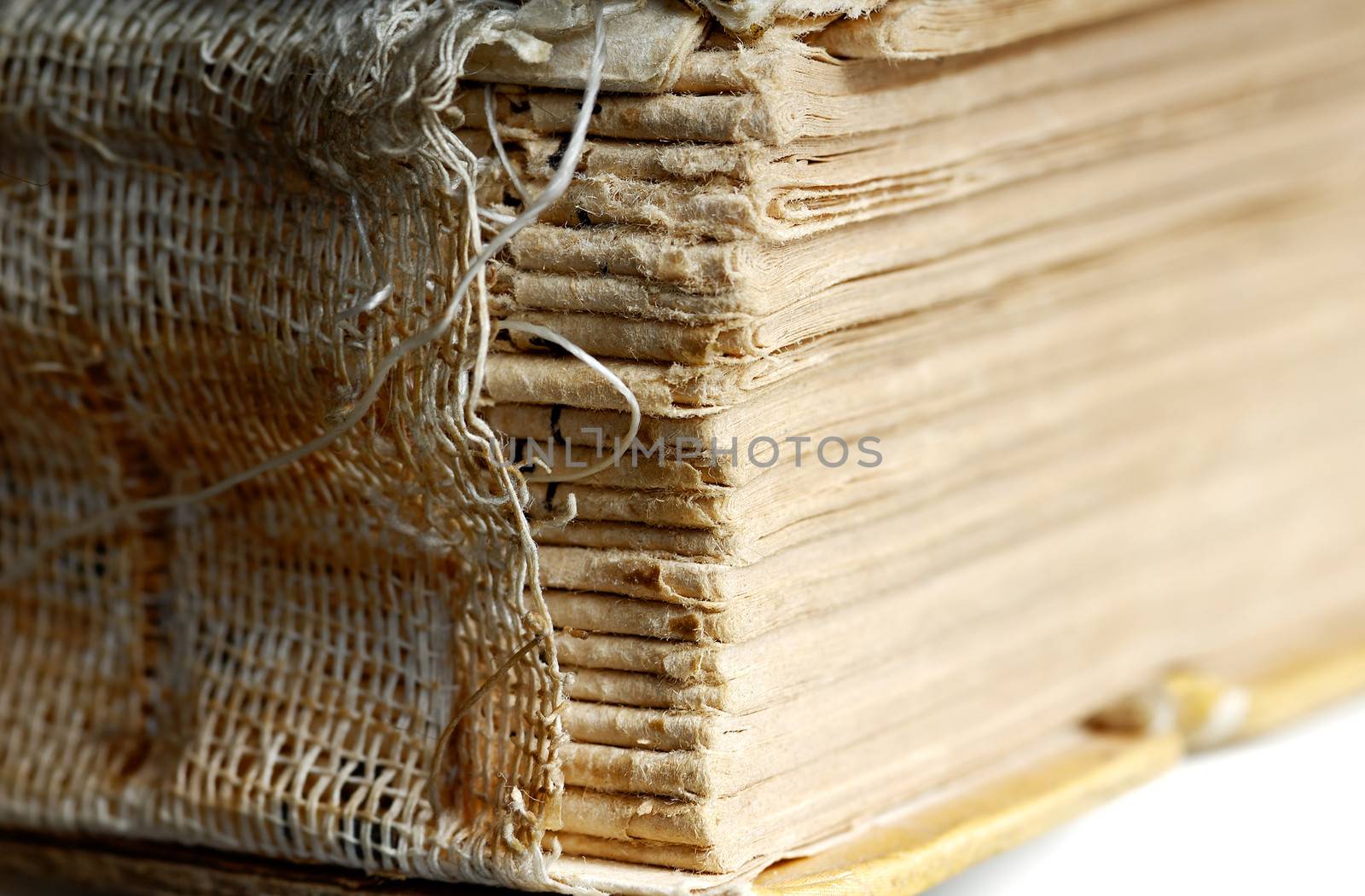 Close-up photo of the destroyed binding of old book