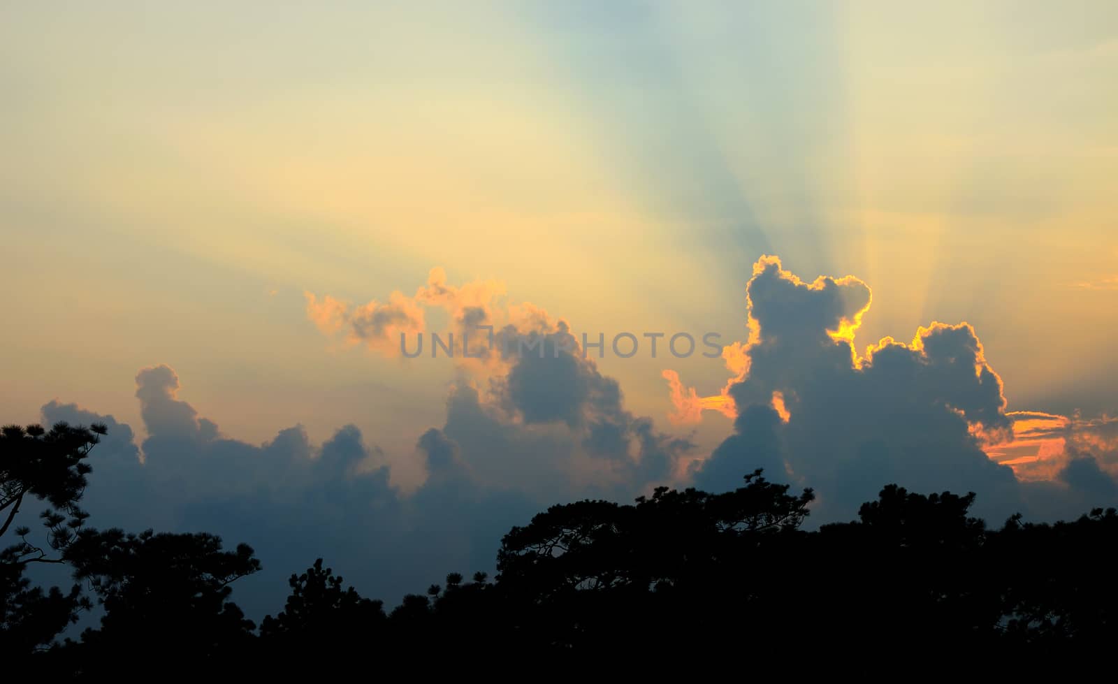 Sunset beam shining at Phu Kradueng National Park, Loei Province,Thailand 