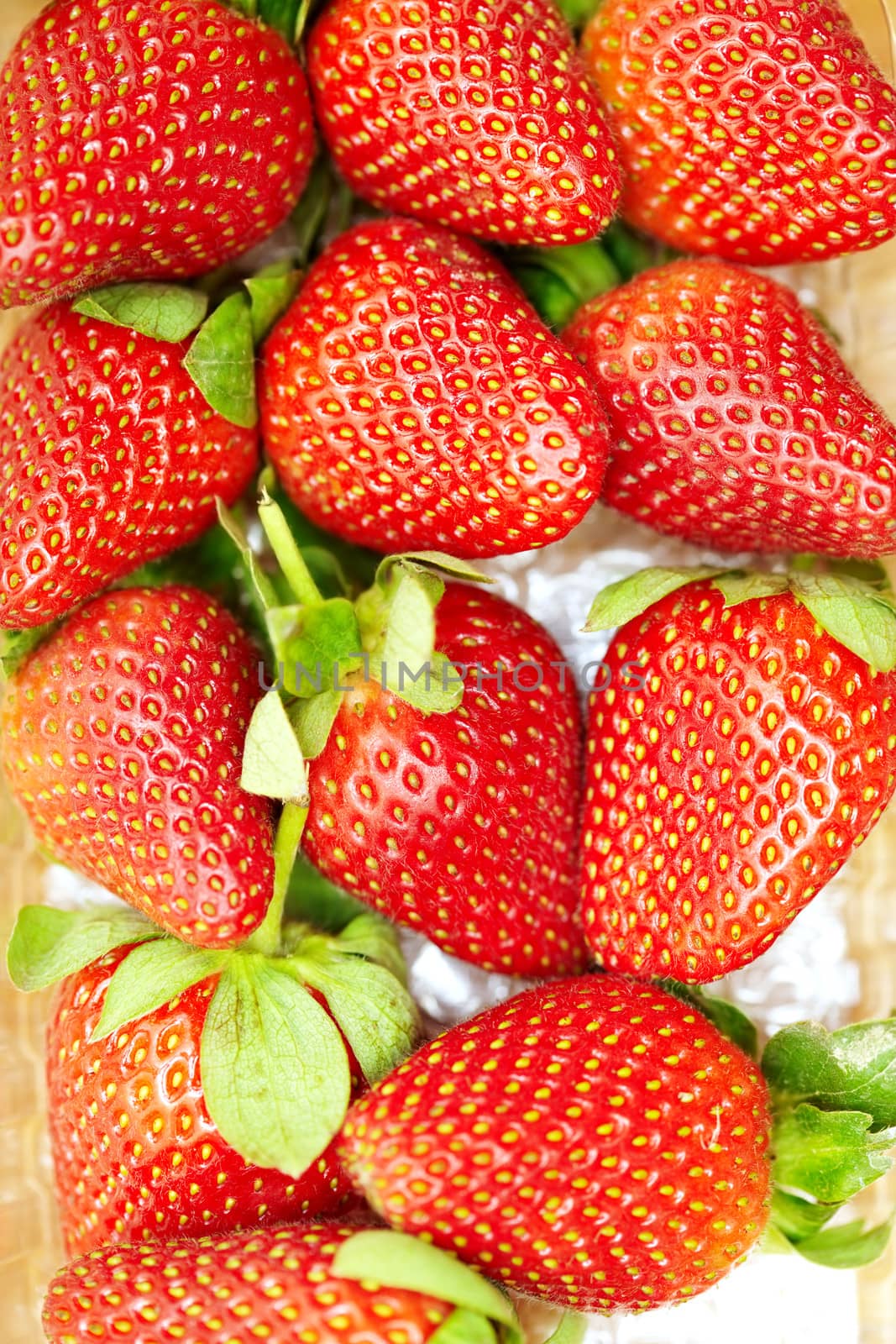 Fresh strawberry. Close-up colorful photo