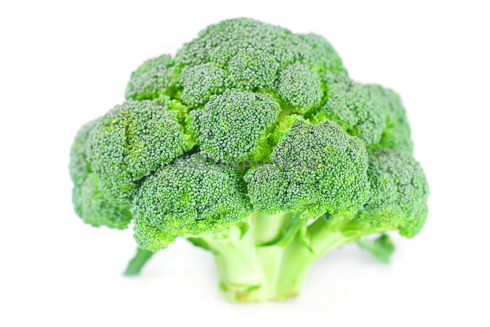 big broccoli isolated on white by jannyjus