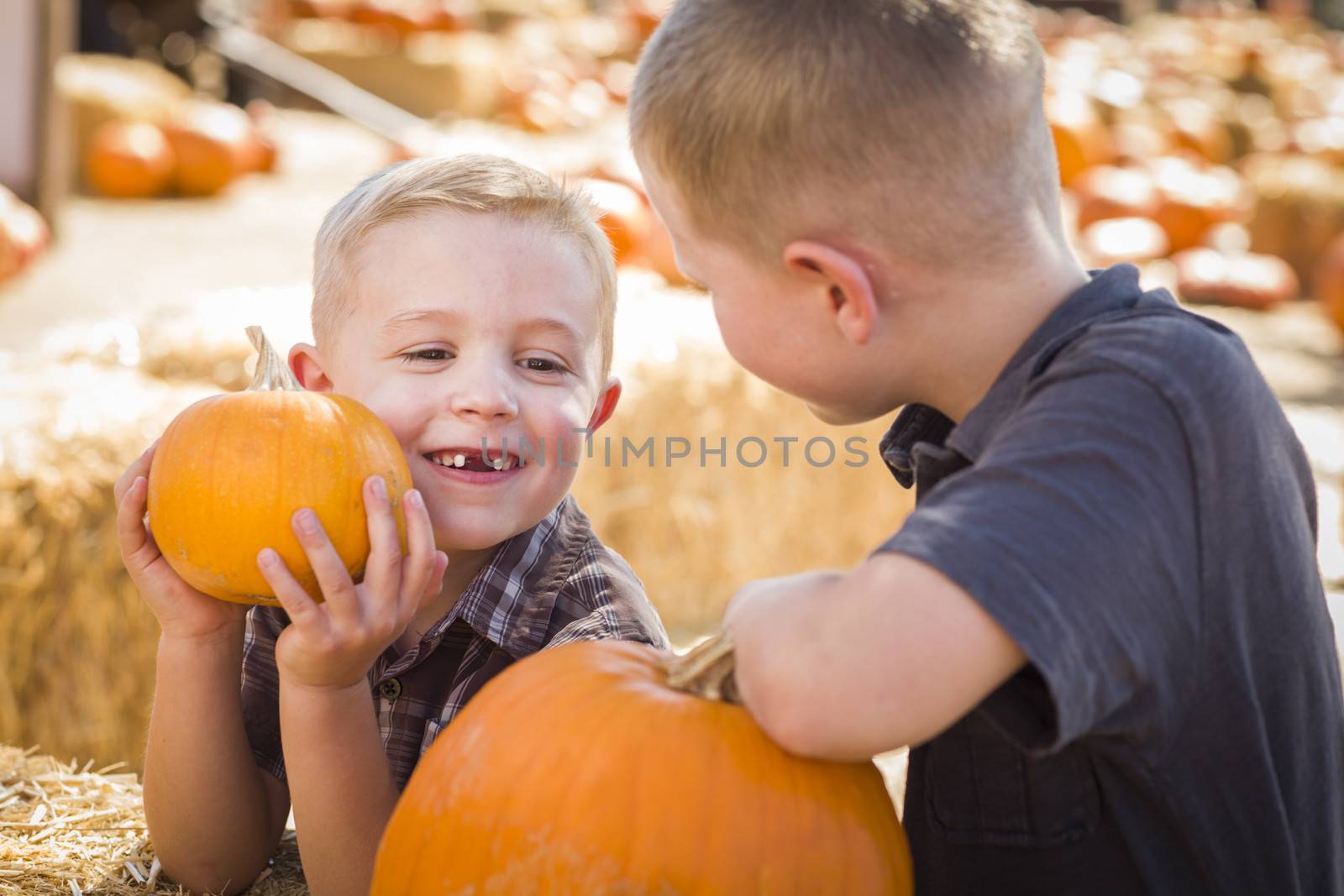 Two Boys at the Pumpkin Patch Talking and Having Fun
 by Feverpitched