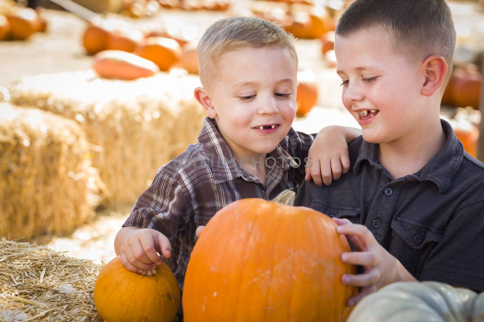 Two Boys at the Pumpkin Patch Talking and Having Fun
 by Feverpitched