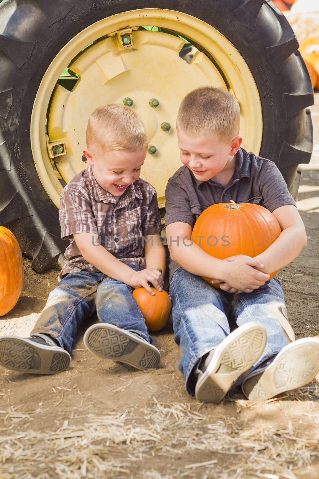 Two Boys Sitting Against a Tractor Tire Holding Pumpkins and Talking in Rustic Setting.