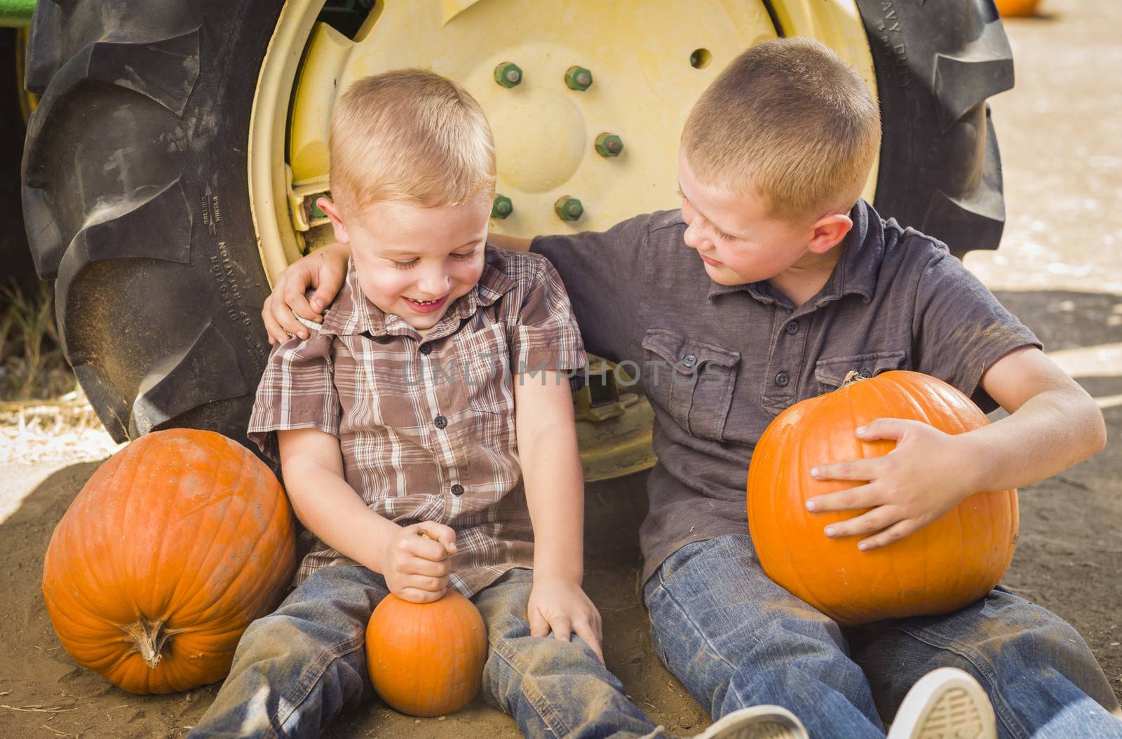 Two Boys Sitting Against a Tractor Tire Holding Pumpkins and Talking in Rustic Setting.