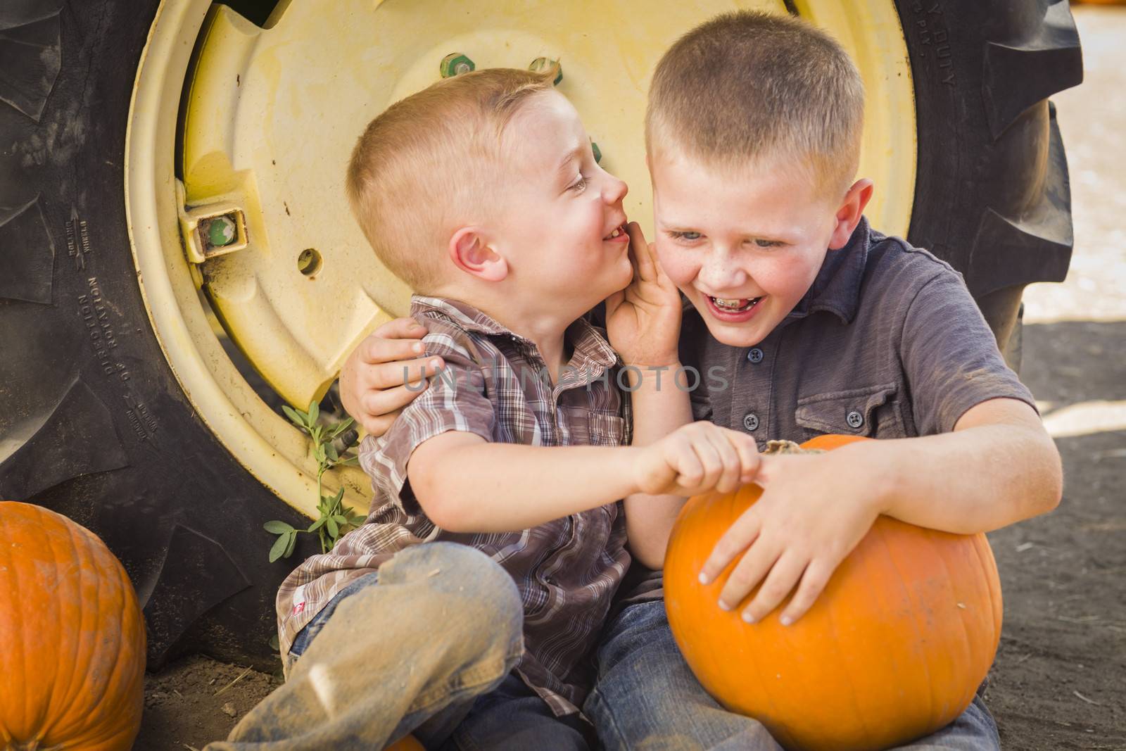 Two Boys Sitting Against a Tractor Tire Holding Pumpkins and Whispering Secrets in Rustic Setting.