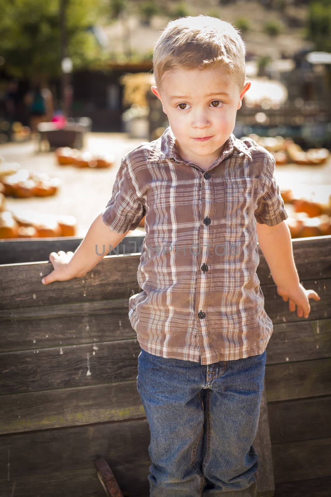 Adorable Little Boy Standing Against Old Wood Wagon at Pumpkin Patch in Rural Setting.
