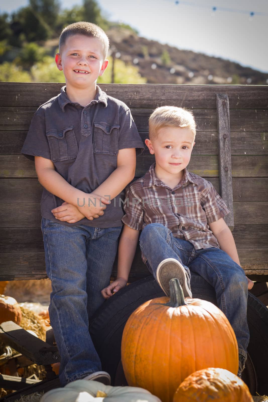 Two Young Boys at the Pumpkin Patch Leaning Against Antique Wood Wagon.