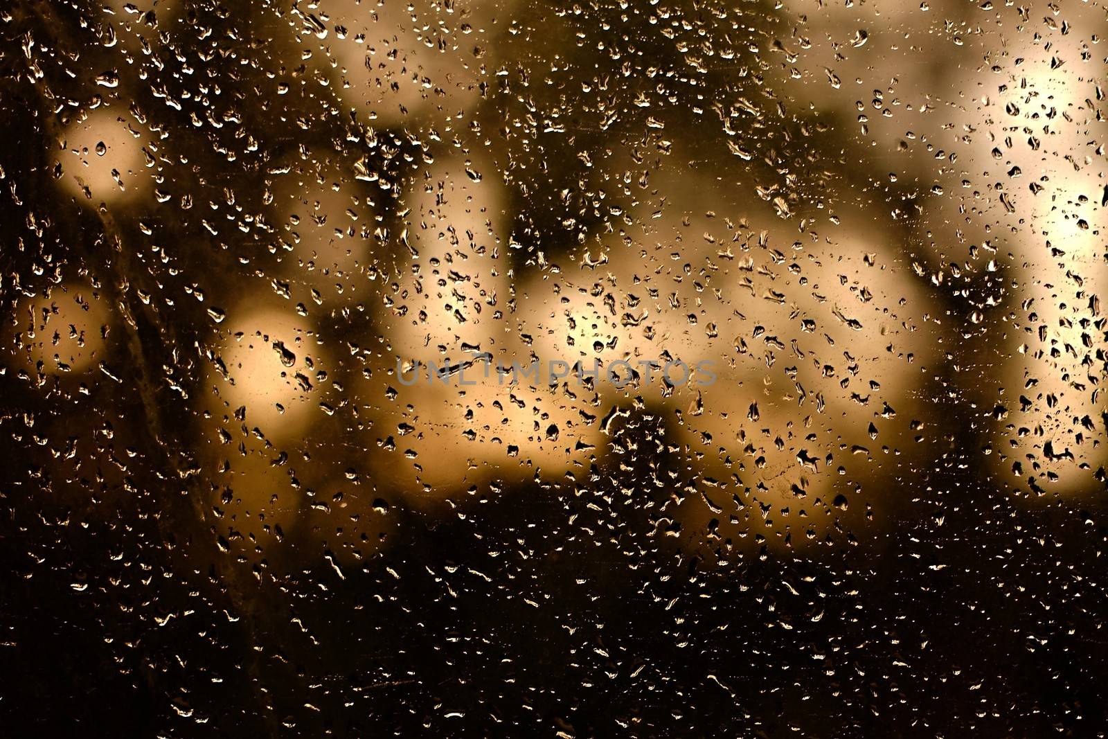 Water drops on a window surface