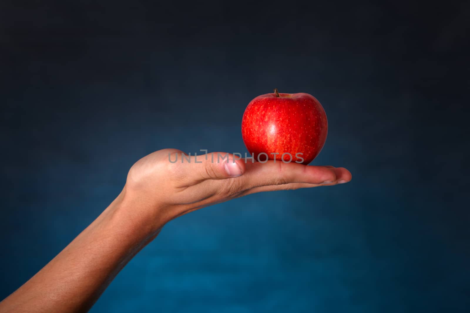 Hand with Red Apple by sabphoto