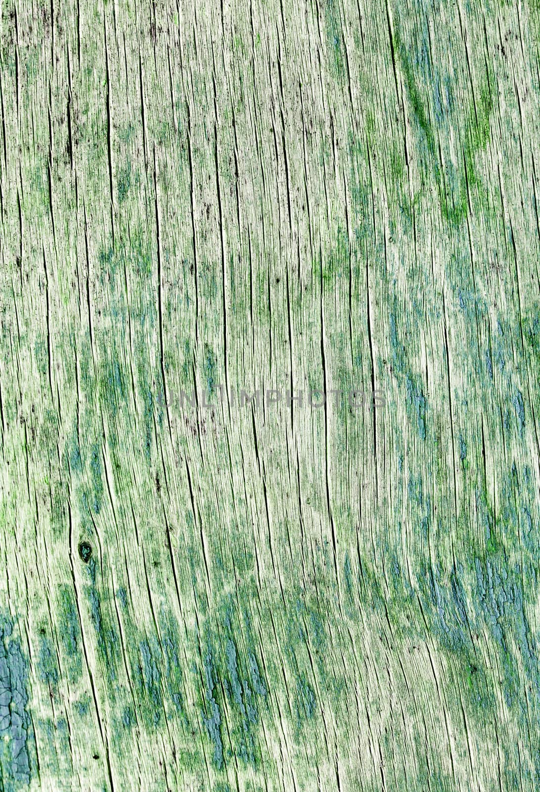 old wood board, green vintage background