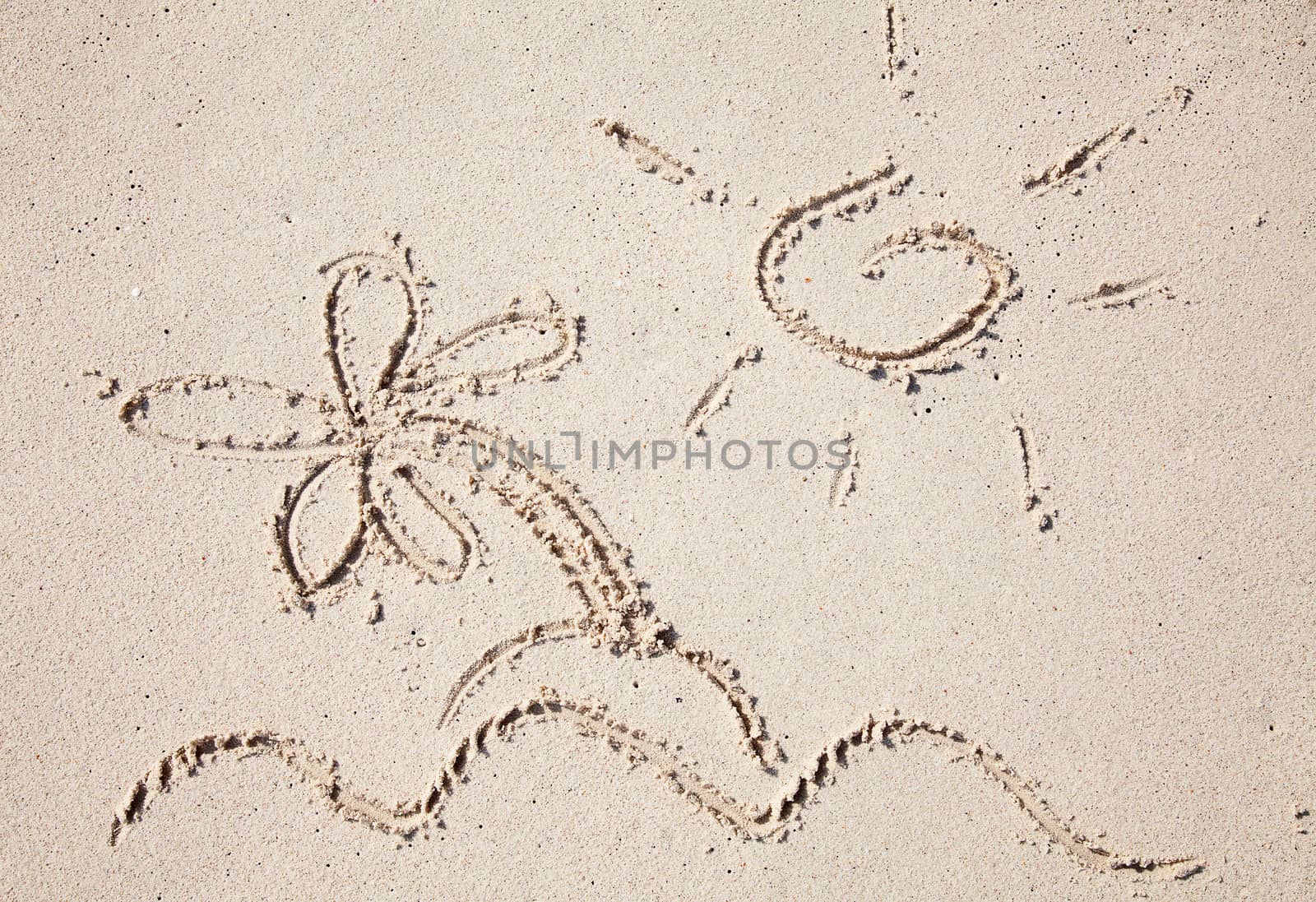drawing on the sand by swisshippo