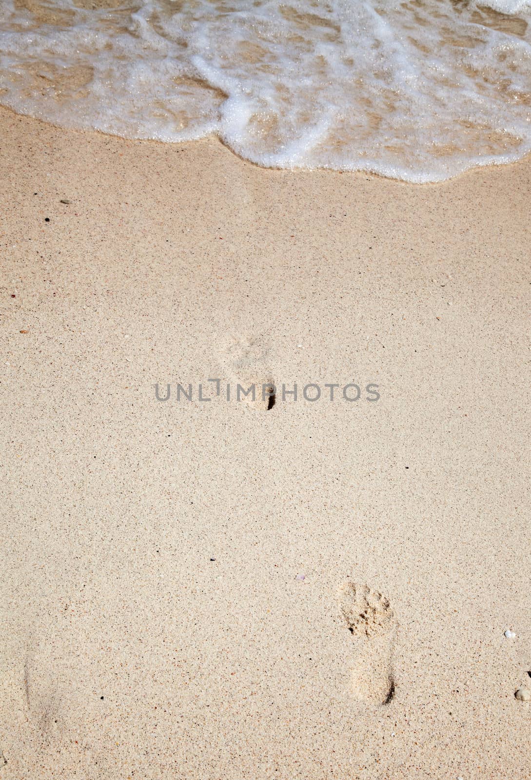 Footsteps on sand by swisshippo