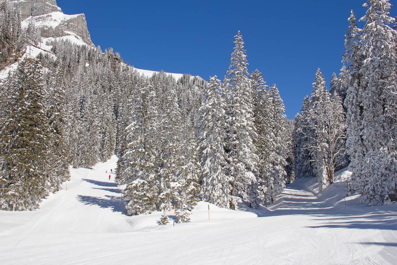 Winter in the swiss alps, Switzerland